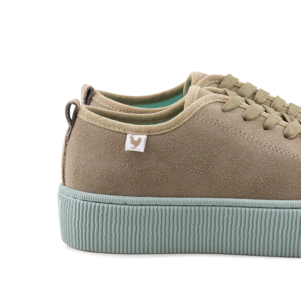 Zapatilla taupe con cordón YOKO de Walk in Pitas - YOKO-115CELESTE-5.jpg