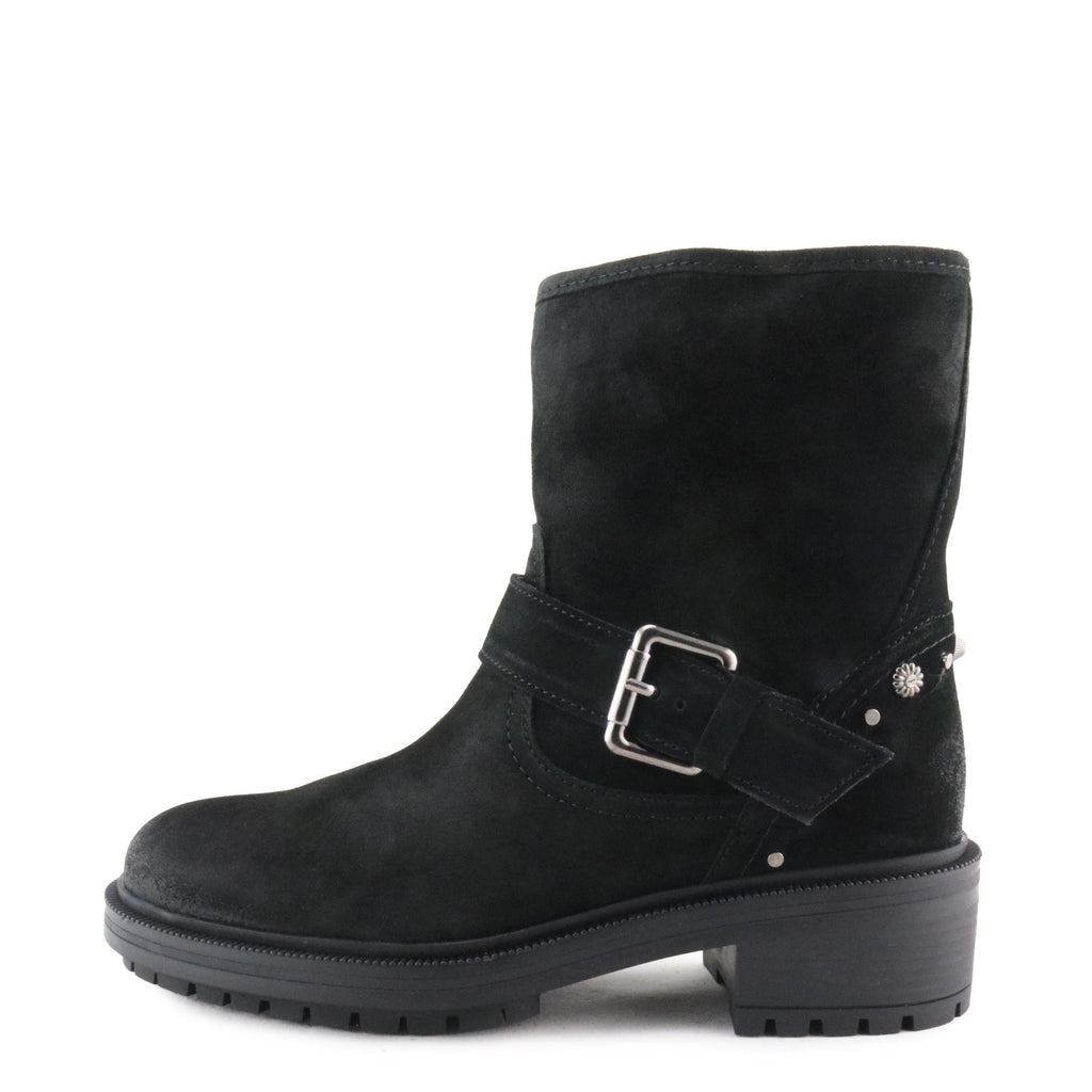 Bota serraje negro 3856 de Alpe - 3856-31-1.jpg