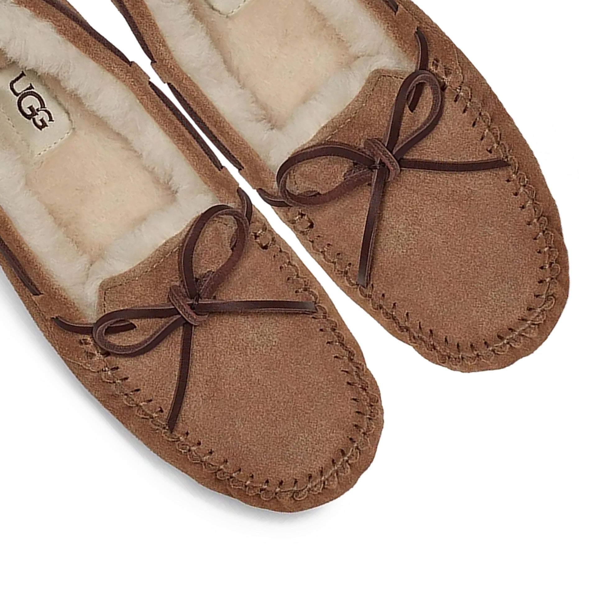 Zapatilla casa beige DAKOTAUGG UGG