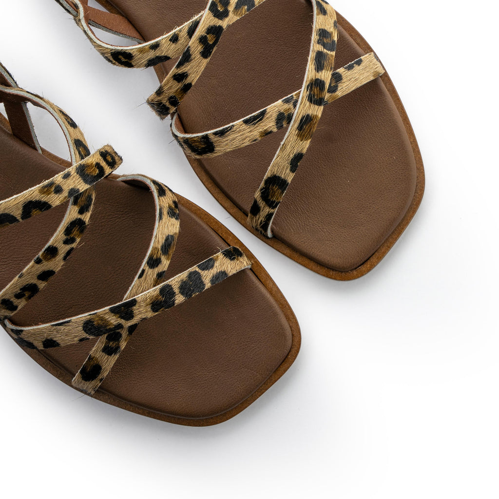 Sandalia plana leopardo con hebilla 7579 de Pepa & Cris - 7579-205-6.jpg